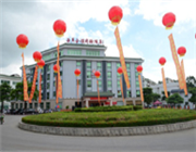 �������I(l��ng)�̄�(w��)�Ƶ�  �������B�T ��